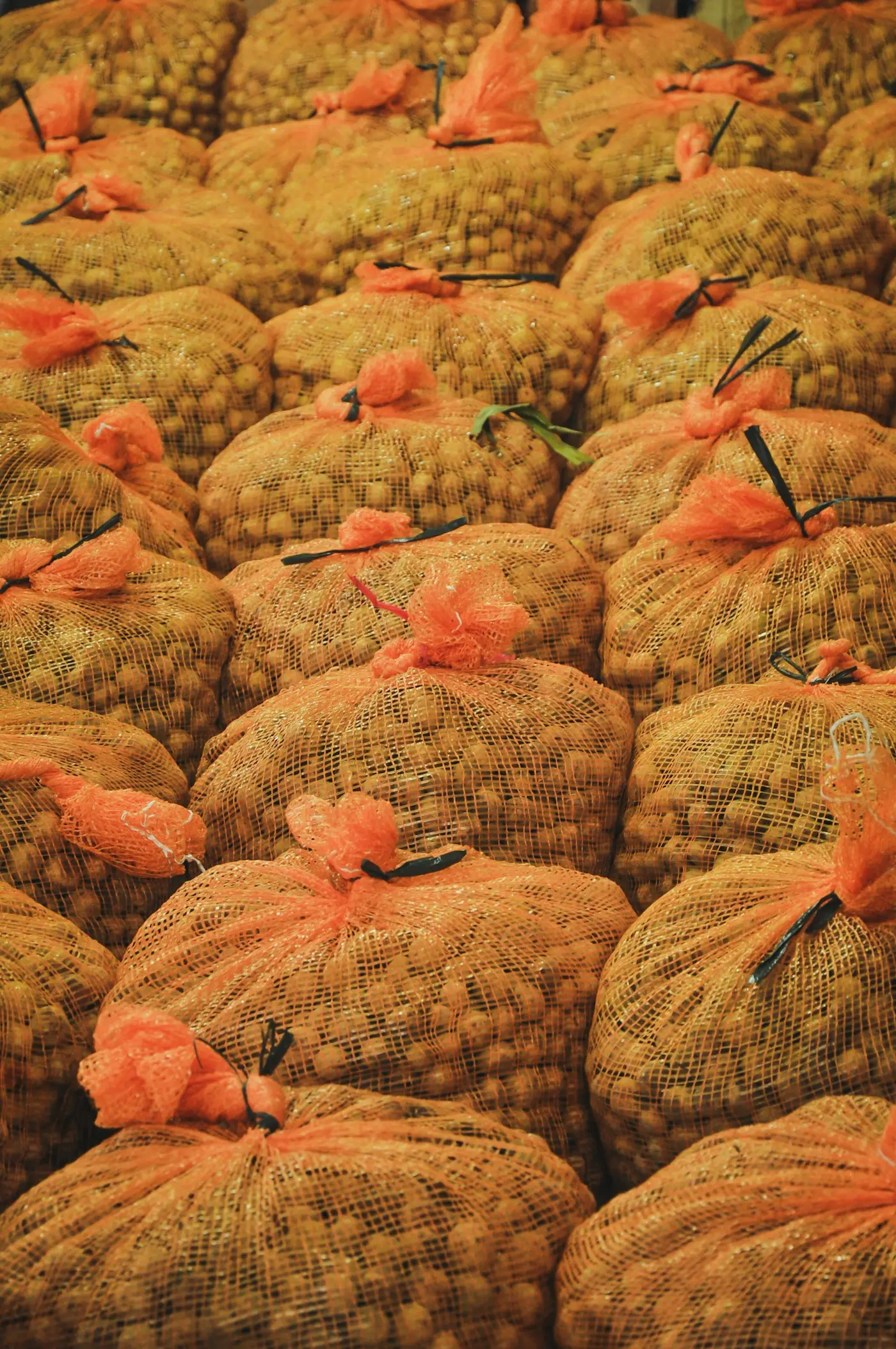 Onions packed in orange mesh sacks