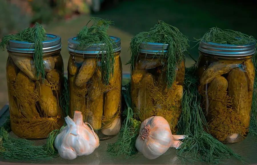 Jars of pickled cucumbers with dill and garlic